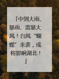 中到大雨、暴雨、雷暴大风！台风“蝴蝶”来袭，或将影响湖北！